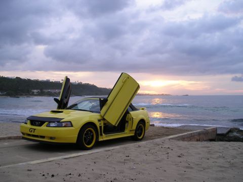 2009 Ford Mustang photo
