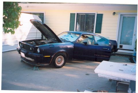 1975 Ford Mustang — My new King Cobra