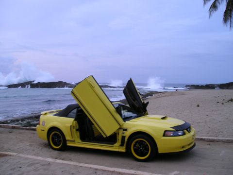 2009 Ford Mustang photo
