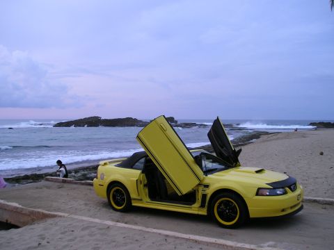 2009 Ford Mustang photo