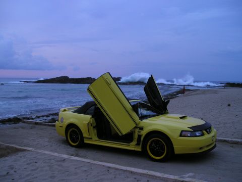 2009 Ford Mustang photo