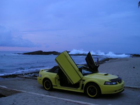 2009 Ford Mustang photo
