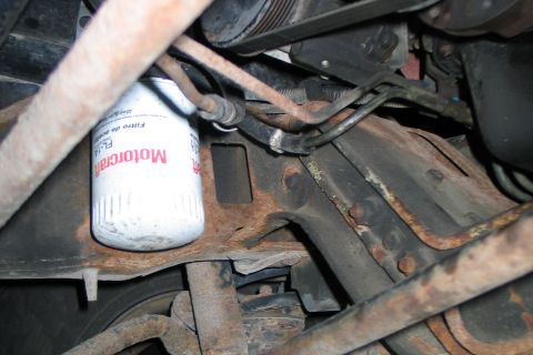 1994 Ford Bronco - Close-up view of a Motorcraft oil filter attached to rusty engine parts.