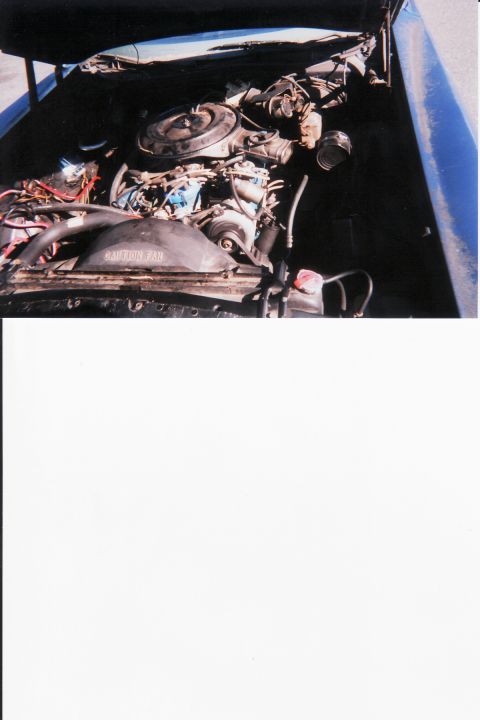 1979 Ford Ranchero photo