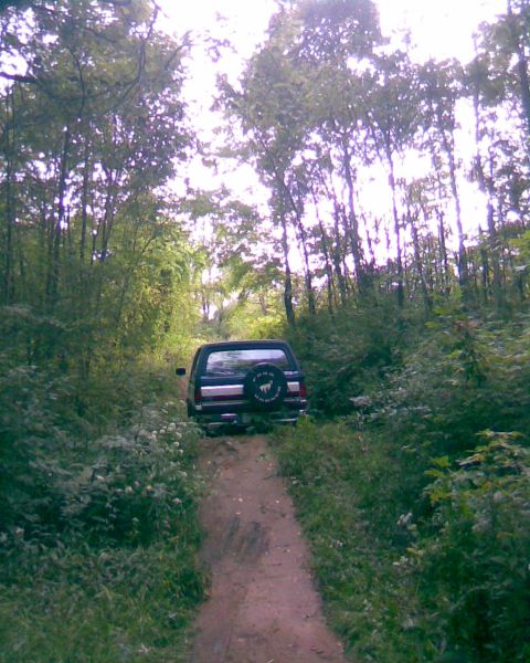 1988 Ford Bronco - A dark colored SUV is parked on a dirt path surrounded by dense green foliage and trees. The rear of the vehicle is visible, showing a spar…