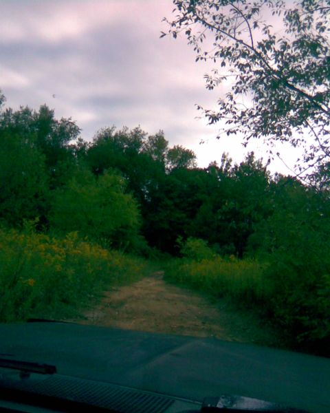 1988 Ford Bronco - View from the driver's seat of a 1988 Ford Bronco looking down a dirt road lined with trees and yellow wildflowers. The sky is overcast wit…