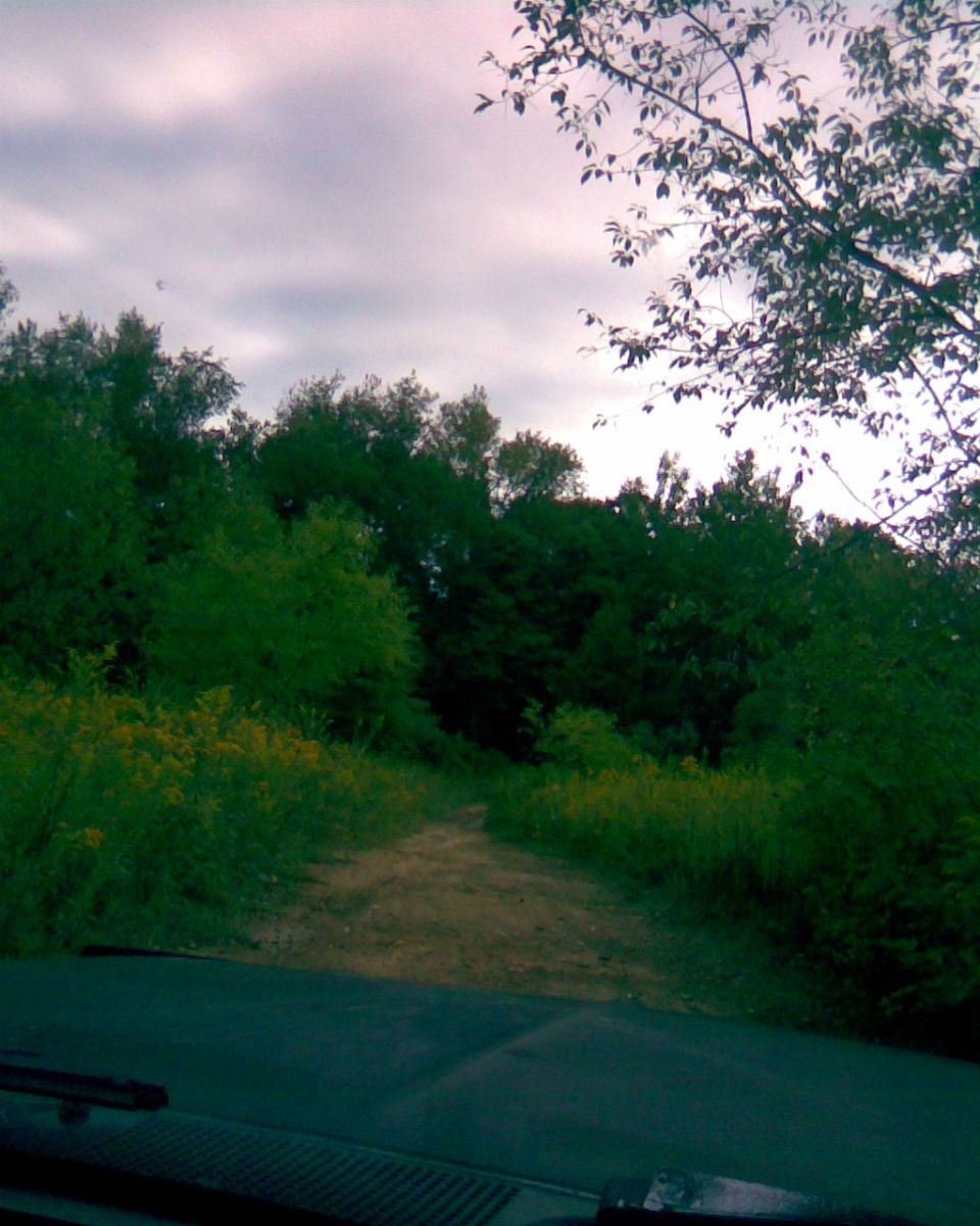 1988 Ford Bronco dashboard view of a dirt road with trees and wildflowers.