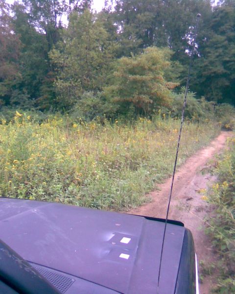 1988 Ford Bronco - The hood of a dark colored vehicle is in the foreground, with a dirt road and dense foliage in the background. A thin antenna extends upwar…
