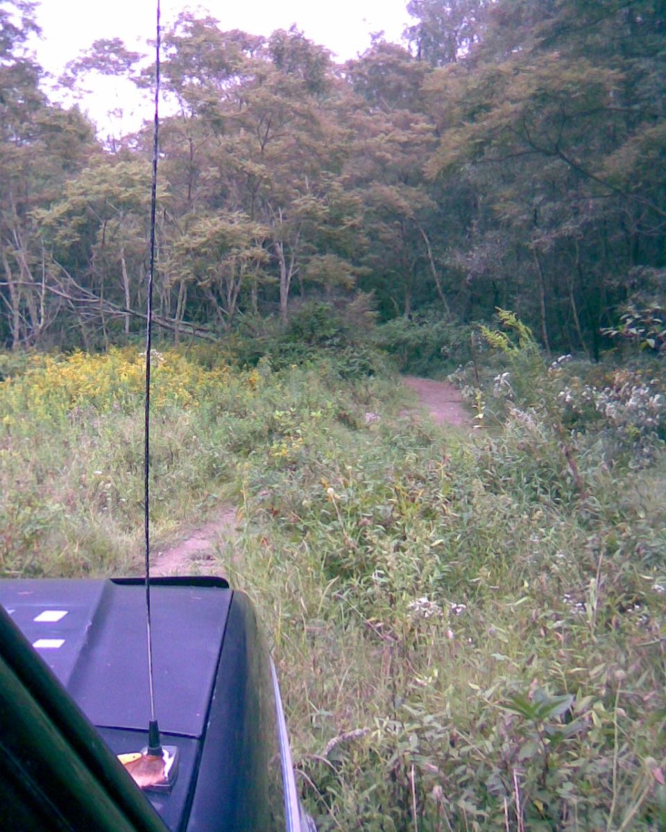 Dark colored vehicle hood with antenna, parked on a dirt path in a wooded area.