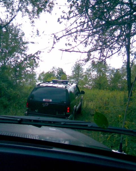 1988 Ford Bronco - The rear of a dark-colored SUV is visible in a grassy, wooded area, seen from the perspective of another vehicle's interior. The SUV has a…