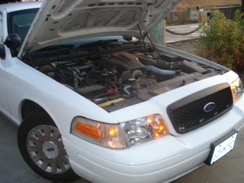2003 Ford Crown Victoria photo