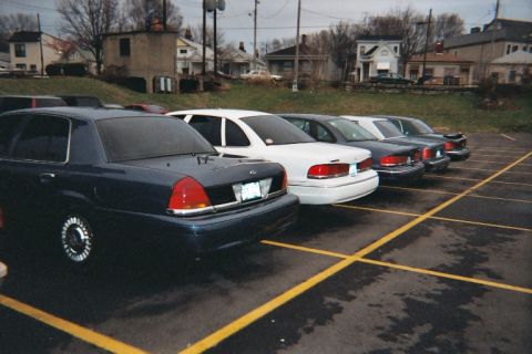 1988 Ford Crown Victoria - A line of Ford Crown Victorias are parked in a lot, with the rear of a dark blue 1998 model prominent in the foreground.