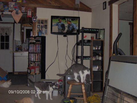 1993 Ford F-150 - my tv mounted on the wall and a shelf from work for stuff.