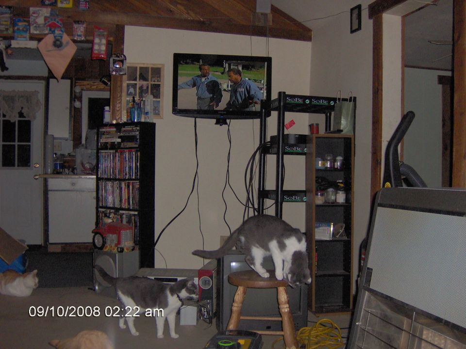 my tv mounted on the wall and a shelf from work for stuff.