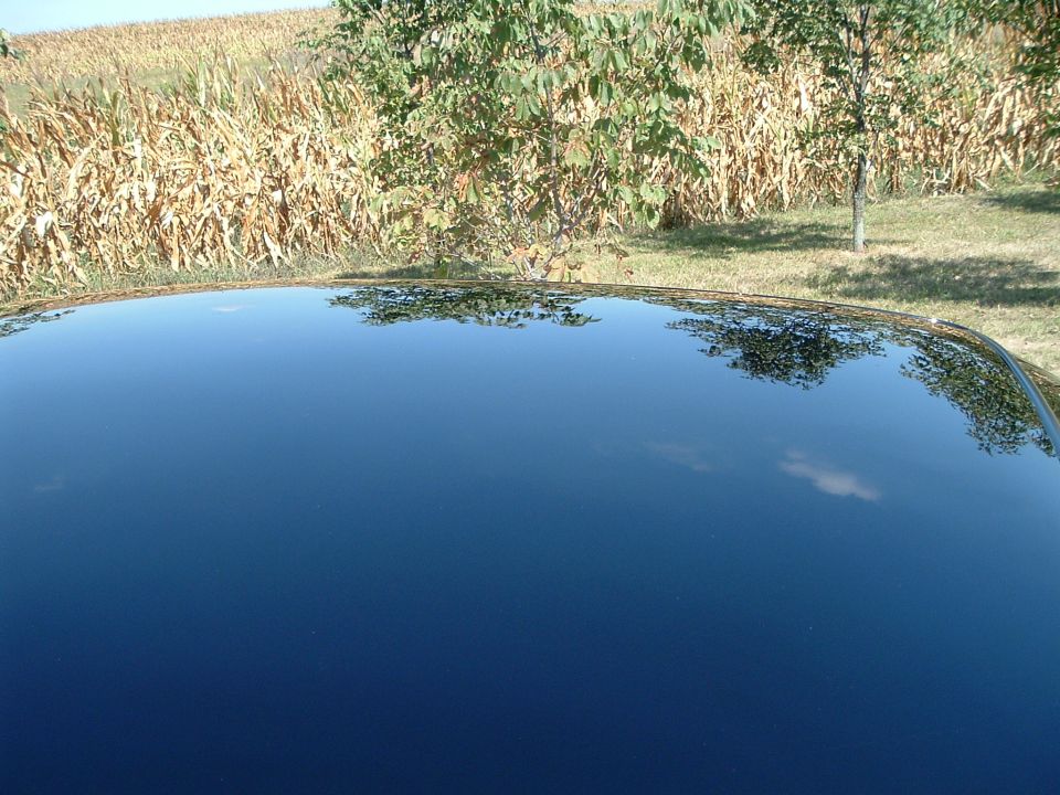 Reflection of cornfield and trees on a black car roof.
