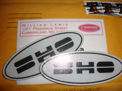 1990 Ford Taurus - Two silver oval badges with black lettering that spell out 'SHO'.