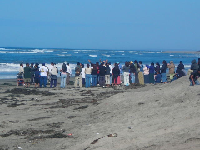 Group of people gathered on a sandy beach facing the ocean surf under a clear blue sky