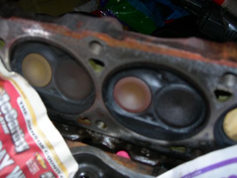 1984 Ford Bronco - This is a close-up, angled view of the combustion chambers of a V8 engine cylinder head. The intake and exhaust valves are visible within t…