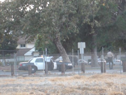 1993 Ford Taurus - A police car is parked behind a fence, with a person in uniform standing near it.