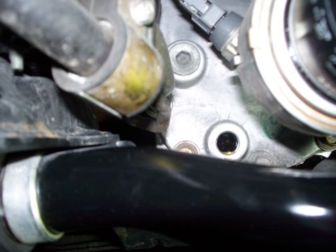 2004 Infiniti G35 photo