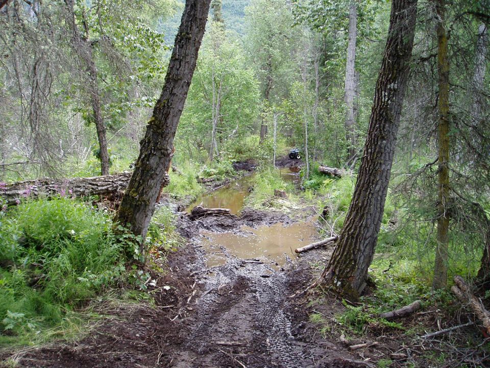 ATV driving through a muddy, wooded trail with puddles
