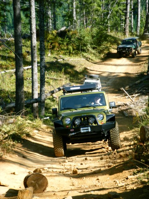 2005 Jeep Wrangler - Multiple Jeeps navigate a wooded trail, kicking up dust on the path ahead.