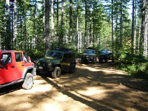 2005 Jeep Wrangler - Multiple Jeep Wranglers navigate a wooded trail on a sunny day.