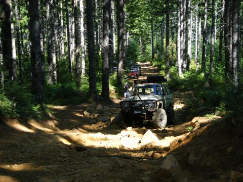 2005 Jeep Wrangler - Off-road vehicles navigate a challenging dirt path through a dense forest.