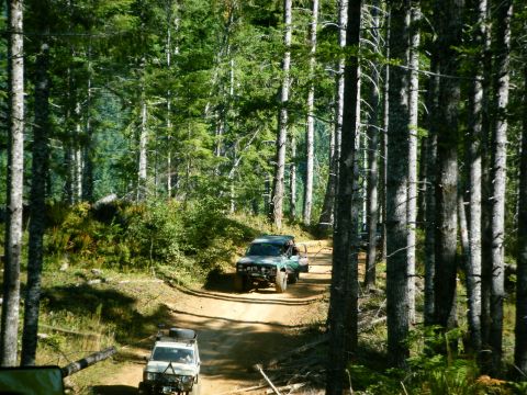 2005 Jeep Wrangler