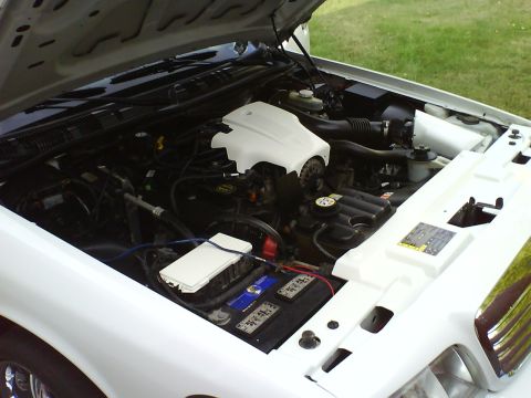 2003 Ford Crown Victoria - The open hood of a white 2003 Ford Crown Victoria reveals the engine bay. The image shows various engine components, the battery, and the u…