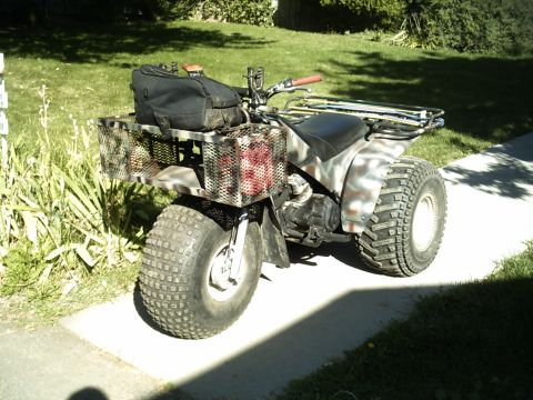 1984 Yamaha 250R photo