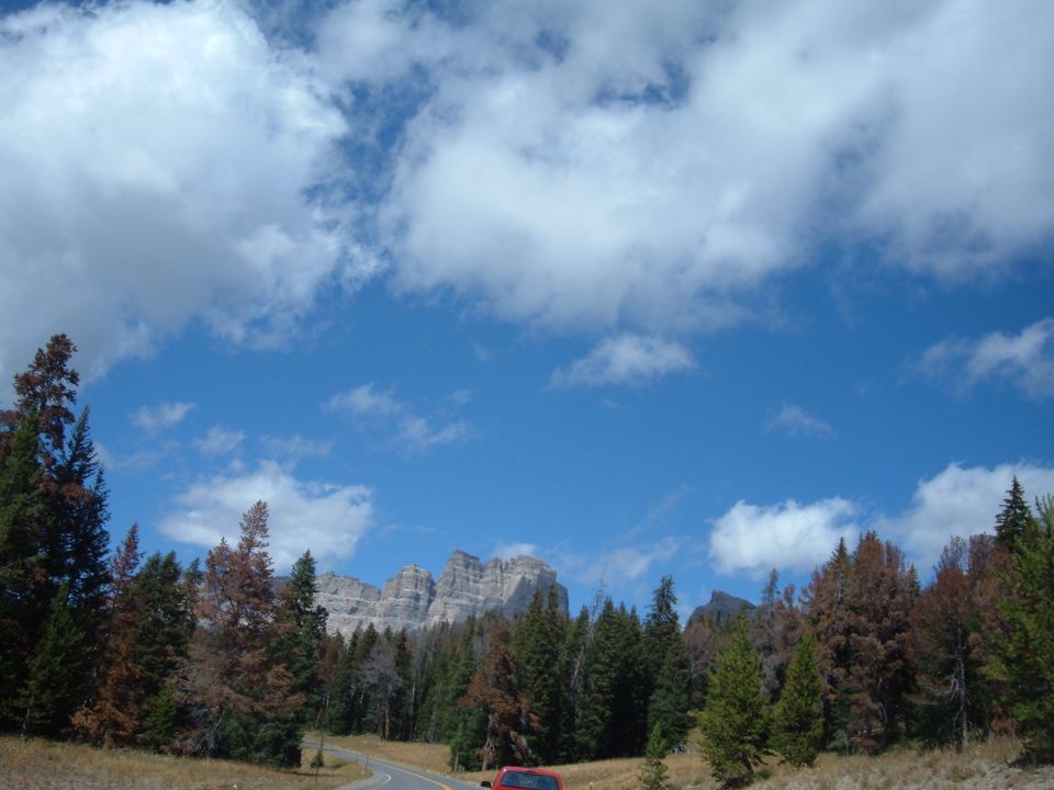 Red vehicle on a road in a forest with mountains.