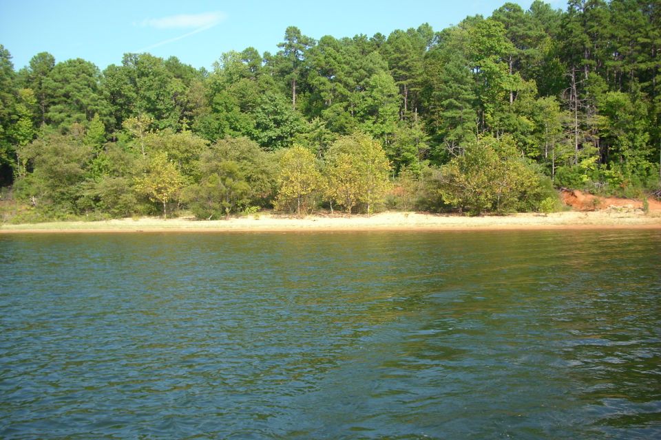 The swimming hole 2