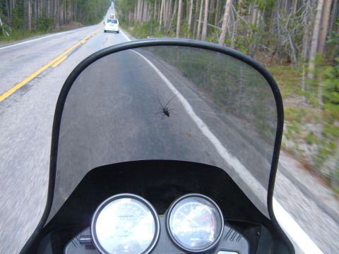 1998 BMW R1100GS ABS