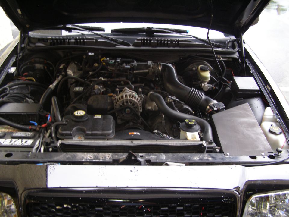 Engine bay with hoses and components visible under the hood