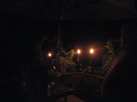 1995 Ford Bronco - A dimly lit outdoor scene at night, with several glowing lights illuminating some foliage.