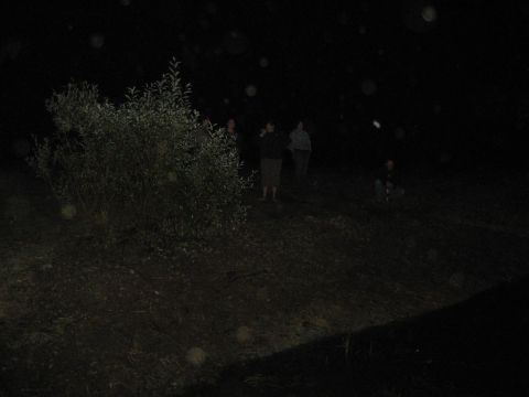 1995 Ford Bronco - Several individuals are visible in the darkness, standing near a large bush.