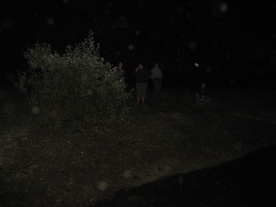 People standing outdoors at night near a bush in near-darkness