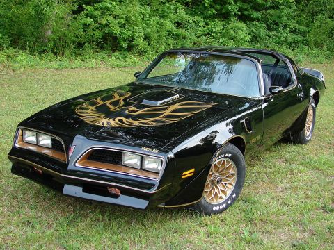 1996 Ford Bronco - Black 1979 Pontiac Trans Am with gold bird decal on hood and gold wheels parked on grass.