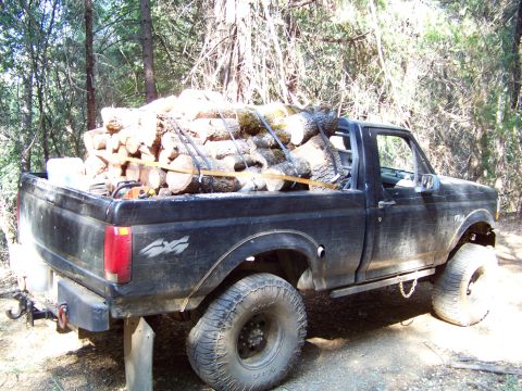 1994 Ford F-150 - A black pickup truck is loaded with cut logs and secured with straps, parked in a wooded area.