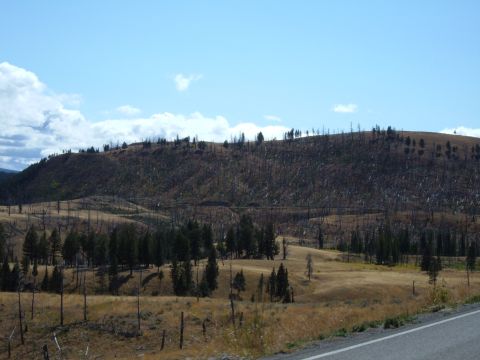 1998 BMW R1100GS ABS - A landscape scene shows a hillside with a burned forest and dry grass under a blue sky with clouds.