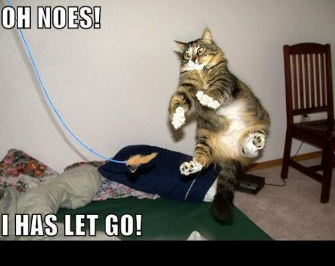 2000 Mercury Grand Marquis - Cat jumps in the air with text overlays 'OH NOES!' and 'I HAS LET GO!'.
