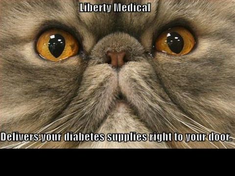 2000 Mercury Grand Marquis - This image features a close-up of a cat's face with text advertising Liberty Medical's diabetes supply delivery service.