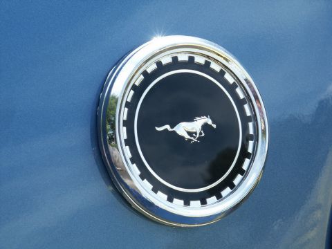 2001 Mercury Grand Marquis - Close-up of a running horse emblem on the side of a blue vehicle.