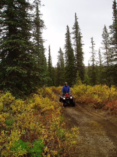 2000 Ford E350 - An ATV navigates a wooded trail during autumn, surrounded by colorful brush and tall evergreen trees.