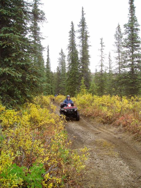 2000 Ford E350 - A person rides an ATV down a wooded trail surrounded by autumn-colored bushes.