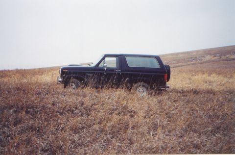 1986 Ford Bronco photo