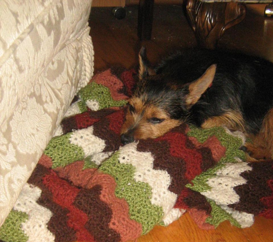9-13-08
sleepy Tobi