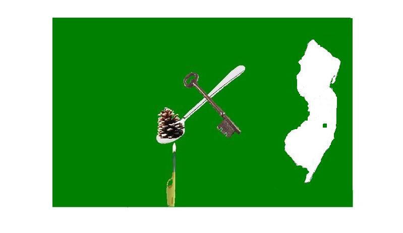 Pinecone on spoon with key and lighter, next to New Jersey silhouette on green background.