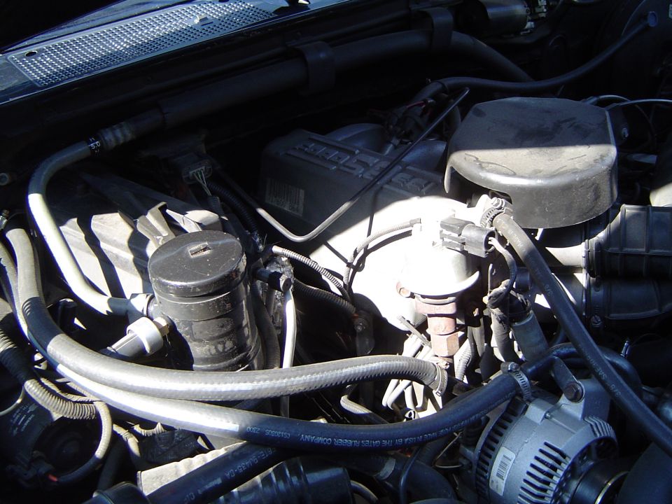 1989 Ford Bronco engine bay with hoses, wiring, and engine components visible.